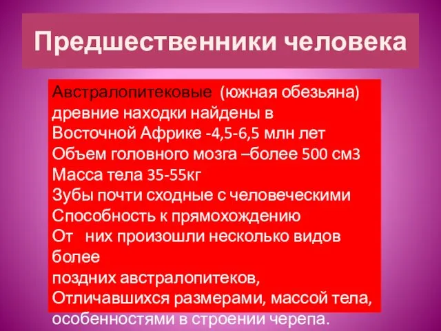 Предшественники человека Австралопитековые (южная обезьяна) древние находки найдены в Восточной Африке -4,5-6,5 млн