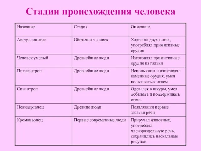 Стадии происхождения человека