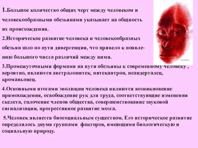 1.Большое количество общих черт между человеком и человекообразными обезьянами указывает