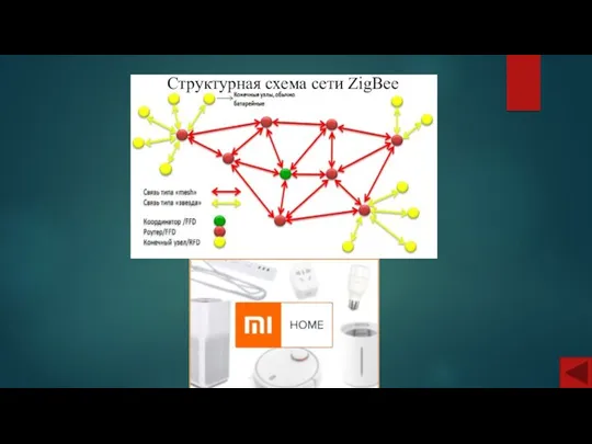 Структурная схема сети ZigBee