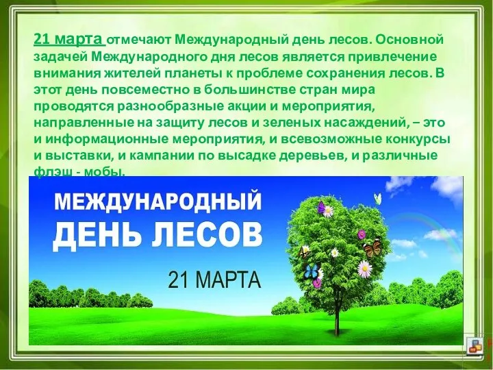 21 марта отмечают Международный день лесов. Основной задачей Международного дня