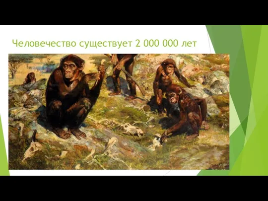 Человечество существует 2 000 000 лет