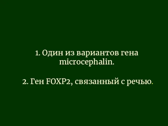 1. Один из вариантов гена microcephalin. 2. Ген FOXP2, связанный с речью.