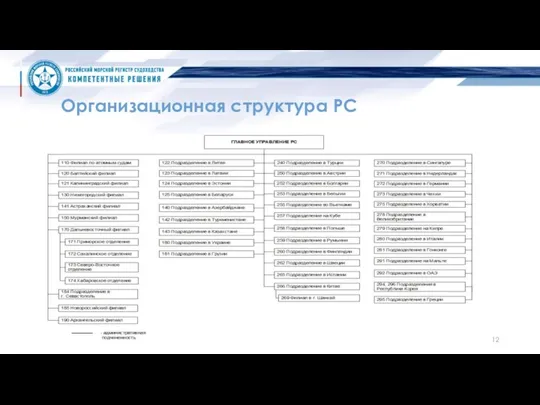 Организационная структура РС