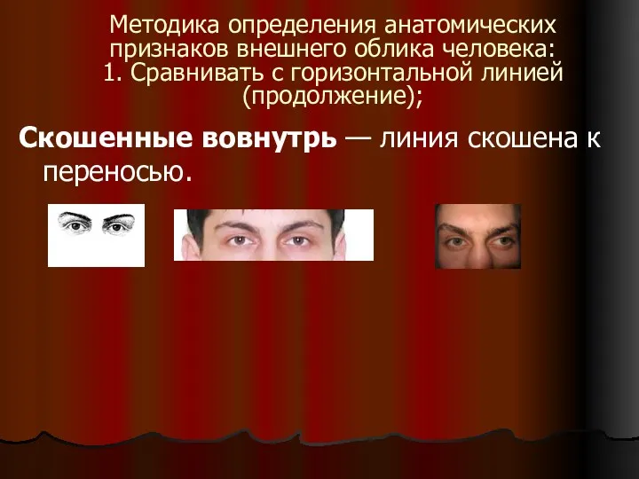 Методика определения анатомических признаков внешнего облика человека: 1. Сравнивать с