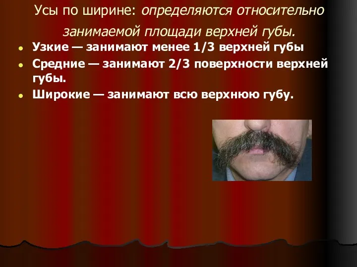 Усы по ширине: определяются относительно занимаемой площади верхней губы. Узкие