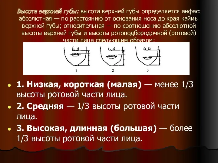 Высота верхней губы: высота верхней губы определяется анфас: абсолютная —