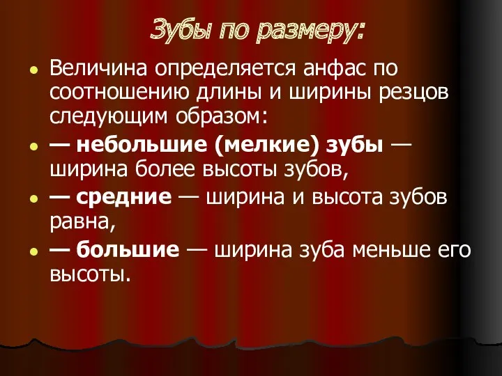 Зубы по размеру: Величина определяется анфас по соотношению длины и