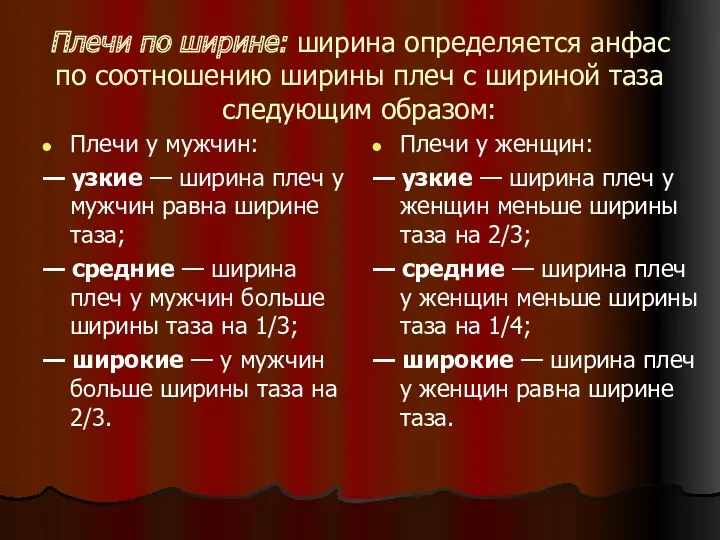 Плечи по ширине: ширина определяется анфас по соотношению ширины плеч