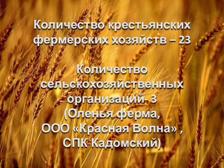 Количество крестьянских фермерских хозяйств – 23 Количество сельскохозяйственных организаций- 3 (Оленья ферма, ООО