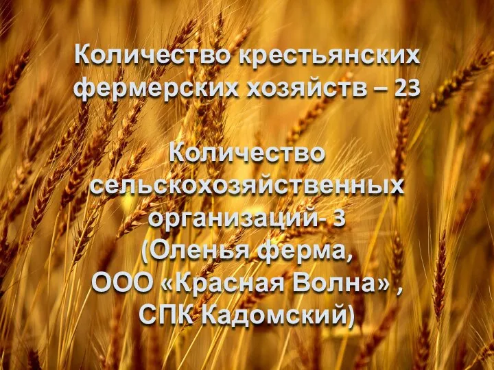 Количество крестьянских фермерских хозяйств – 23 Количество сельскохозяйственных организаций- 3