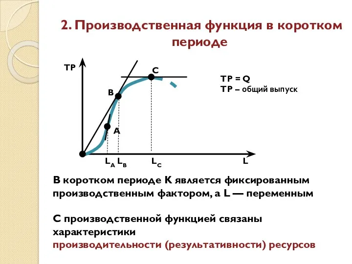 2. Производственная функция в коротком периоде TP A C B