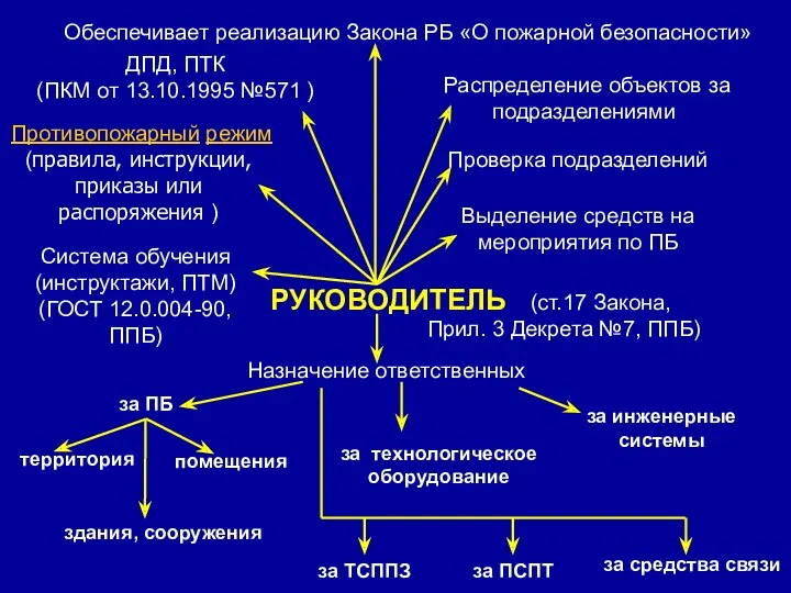 РУКОВОДИТЕЛЬ (ст.17 Закона, Прил. 3 Декрета №7, ППБ) ДПД, ПТК