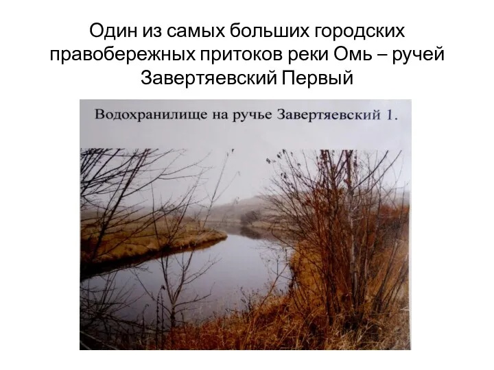 Один из самых больших городских правобережных притоков реки Омь – ручей Завертяевский Первый