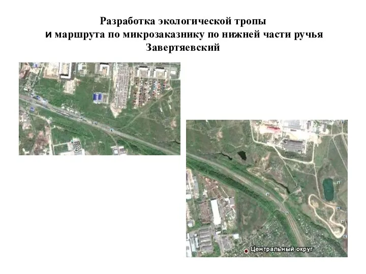 Разработка экологической тропы и маршрута по микрозаказнику по нижней части ручья Завертяевский