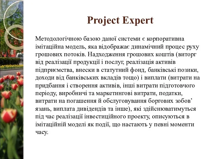 Project Expert Методологічною базою даної системи є корпоративна імітаційна модель,