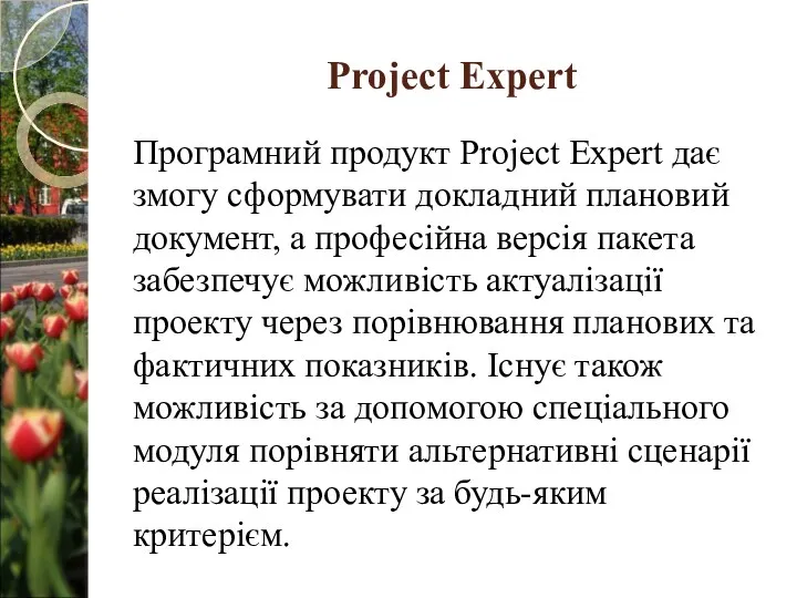 Project Expert Програмний продукт Project Expert дає змогу сформувати докладний