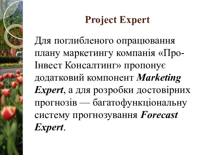Project Expert Для поглибленого опрацювання плану маркетингу компанія «Про-Інвест Консалтинг»
