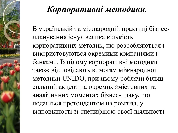 В українській та міжнародній практиці бізнес-планування існує велика кількість корпоративних