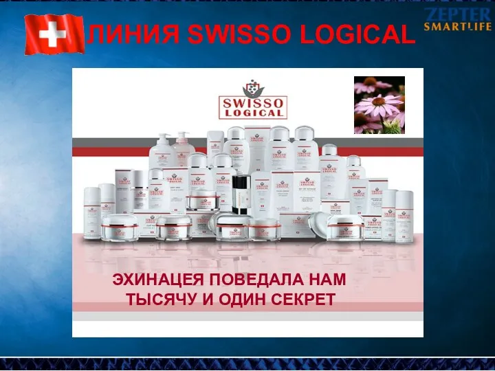 ЛИНИЯ SWISSO LOGICAL ЭХИНАЦЕЯ ПОВЕДАЛА НАМ ТЫСЯЧУ И ОДИН СЕКРЕТ