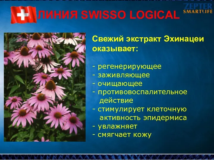 ЛИНИЯ SWISSO LOGICAL Cвежий экстракт Эхинацеи оказывает: - регенерирующее - заживляющее - очищающее