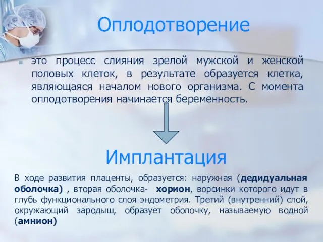 Оплодотворение это процесс слияния зрелой мужской и женской половых клеток,