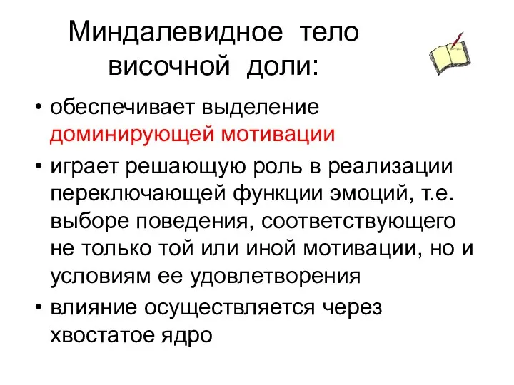 Миндалевидное тело височной доли: обеспечивает выделение доминирующей мотивации играет решающую