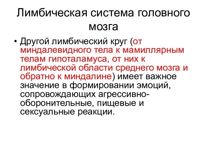 Лимбическая система головного мозга Другой лимбический круг (от миндалевидного тела