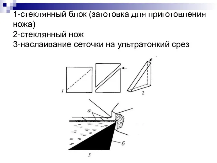 1-стеклянный блок (заготовка для приготовления ножа) 2-стеклянный нож 3-наслаивание сеточки на ультратонкий срез