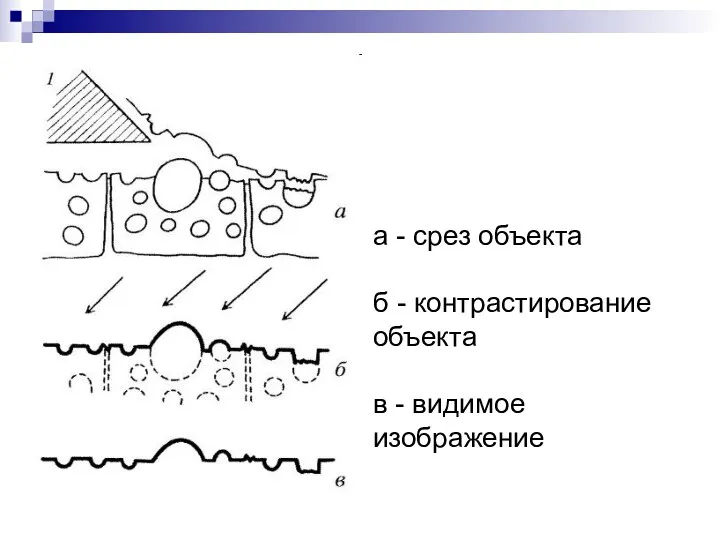 а - срез объекта б - контрастирование объекта в - видимое изображение