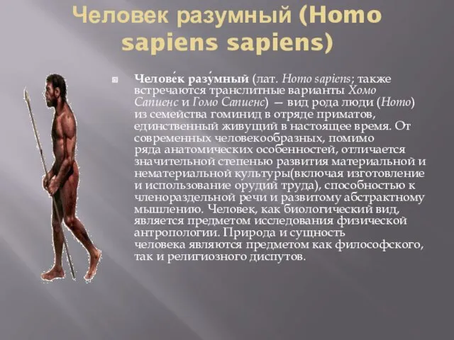 Человек разумный (Homo sapiens sapiens) Челове́к разу́мный (лат. Homo sapiens;