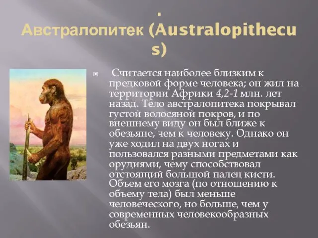 . Австралопитек (Australopithecus) Считается наиболее близким к предковой форме человека;