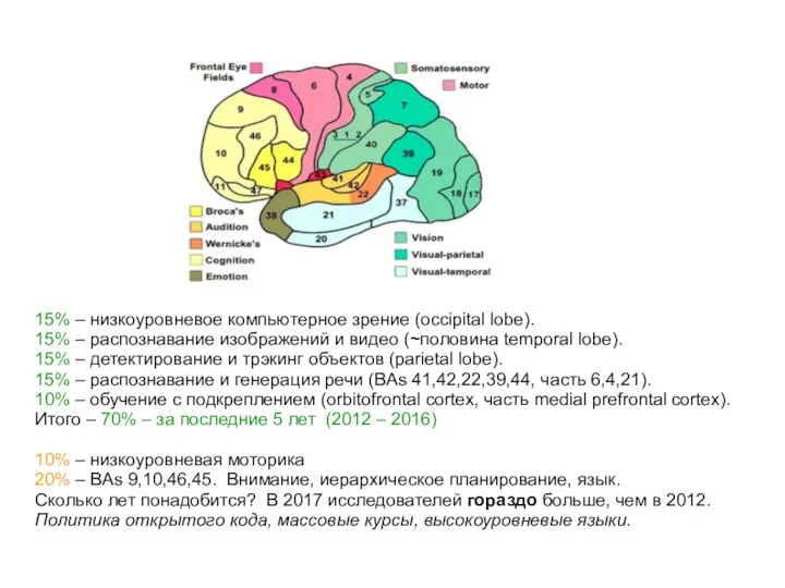 15% – низкоуровневое компьютерное зрение (occipital lobe). 15% – распознавание