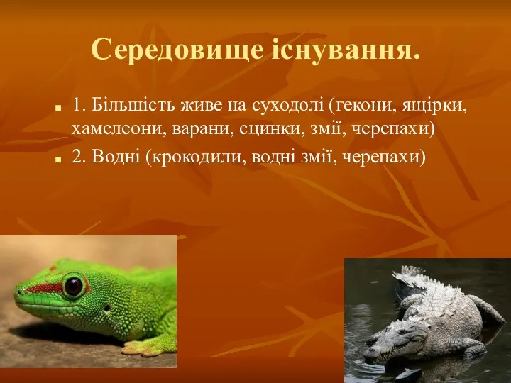 Середовище існування. 1. Більшість живе на суходолі (гекони, ящірки, хамелеони,