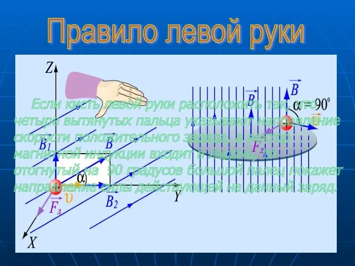 Правило левой руки Если кисть левой руки расположить так, что