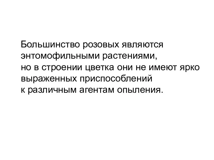 Большинство розовых являются энтомофильными растениями, но в строении цветка они