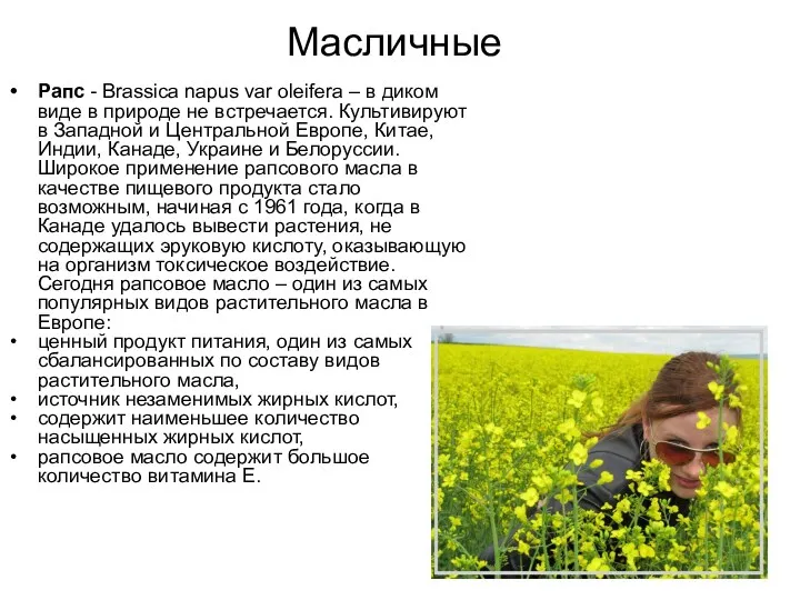 Масличные Рапс - Brassica napus var oleifera – в диком