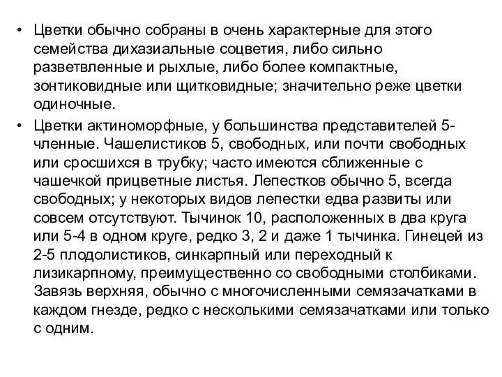 Цветки обычно собраны в очень характерные для этого семейства дихазиальные