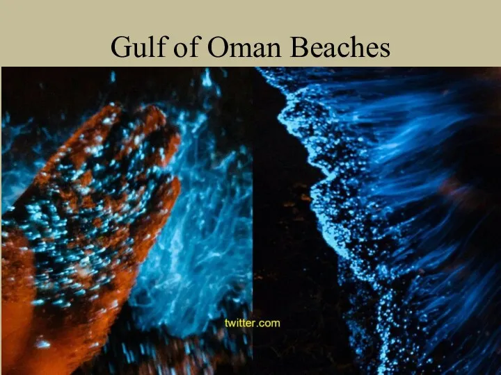 Gulf of Oman Beaches