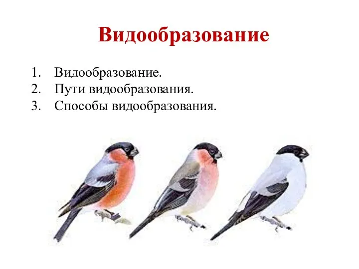 Видообразование Видообразование. Пути видообразования. Способы видообразования.