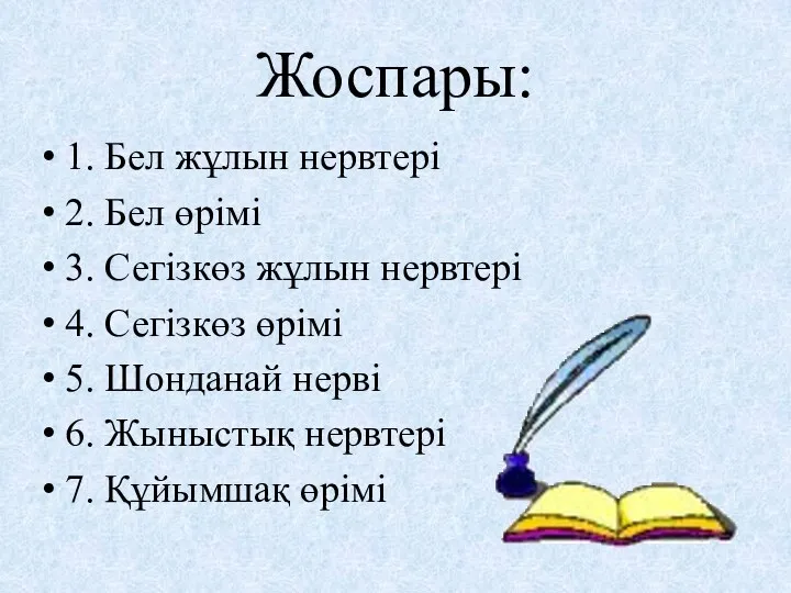 Жоспары: 1. Бел жұлын нервтері 2. Бел өрімі 3. Сегізкөз