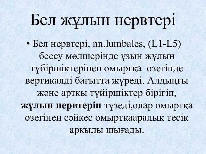 Бел жұлын нервтері Бел нервтері, nn.lumbales, (L1-L5) бесеу мөлшерінде ұзын