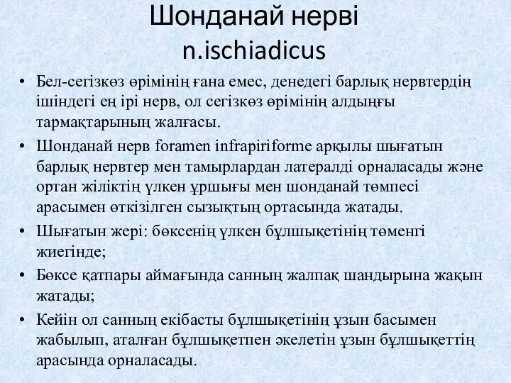 Шонданай нерві n.ischiadicus Бел-сегізкөз өрімінің ғана емес, денедегі барлық нервтердің