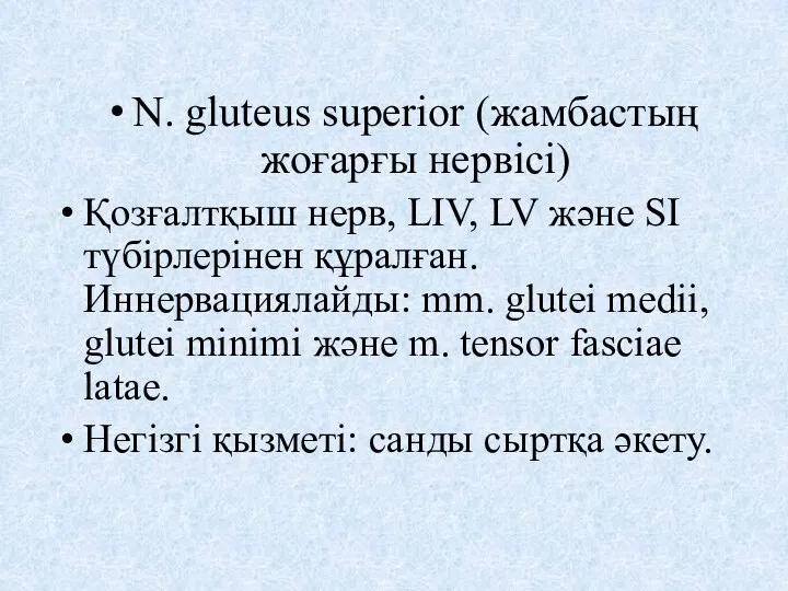 N. glutеus superior (жамбастың жоғарғы нервісі) Қозғалтқыш нерв, LIV, LV