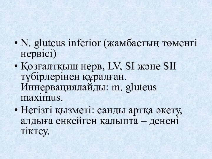 N. glutеus inferior (жамбастың төменгі нервісі) Қозғалтқыш нерв, LV, SI