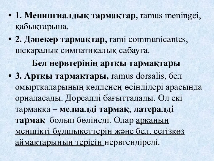 1. Менингиалдық тармақтар, ramus meningeі, қабықтарына. 2. Дәнекер тармақтар, rami