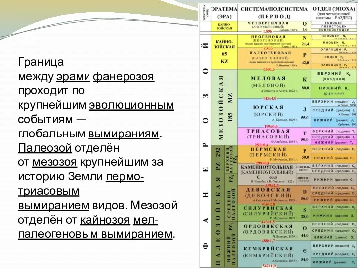 Граница между эрами фанерозоя проходит по крупнейшим эволюционным событиям —