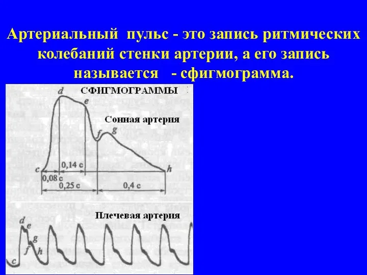 Артериальный пульс - это запись ритмических колебаний стенки артерии, а его запись называется - сфигмограмма.