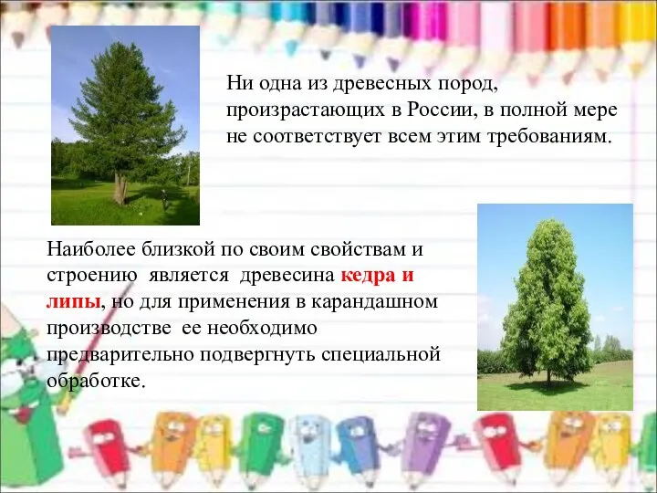 Ни одна из древесных пород, произрастающих в России, в полной мере не соответствует