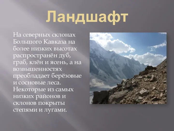 Ландшафт На северных склонах Большого Кавказа на более низких высотах